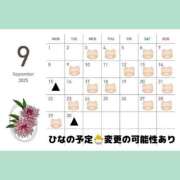 ヒメ日記 2025/09/02 21:05 投稿 ひな 渋谷平成女学園