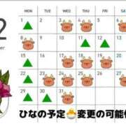 ヒメ日記 2025/11/14 20:55 投稿 ひな 渋谷平成女学園