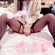 なつ にゃおっす 秋葉原コスプレ学園in仙台