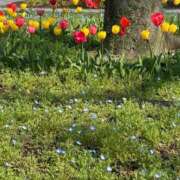 ヒメ日記 2026/04/14 12:08 投稿 いのり わちゃわちゃ密着リアルフルーちゅ西船橋