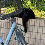 ヒメ日記 2026/04/24 10:08 投稿 いのり わちゃわちゃ密着リアルフルーちゅ西船橋