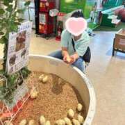 ヒメ日記 2026/06/11 20:08 投稿 いのり わちゃわちゃ密着リアルフルーちゅ西船橋