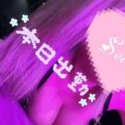 ヒメ日記 2025/02/18 12:00 投稿 神原けい HANABI(福富町)