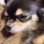 ヒメ日記 2025/07/07 03:35 投稿 里香 谷町人妻ゴールデン倶楽部