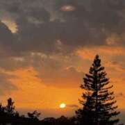 ヒメ日記 2025/11/03 03:55 投稿 里香 谷町人妻ゴールデン倶楽部