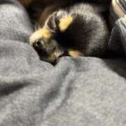 ヒメ日記 2025/11/07 03:00 投稿 里香 谷町人妻ゴールデン倶楽部