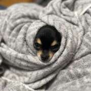 ヒメ日記 2025/11/11 06:00 投稿 里香 谷町人妻ゴールデン倶楽部