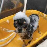 ヒメ日記 2025/12/02 06:00 投稿 里香 谷町人妻ゴールデン倶楽部