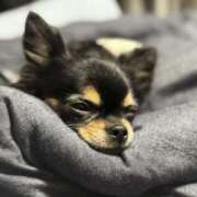 ヒメ日記 2025/12/15 03:50 投稿 里香 谷町人妻ゴールデン倶楽部