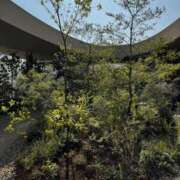 ヒメ日記 2025/12/16 02:15 投稿 里香 谷町人妻ゴールデン倶楽部