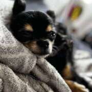 ヒメ日記 2025/12/22 03:20 投稿 里香 谷町人妻ゴールデン倶楽部