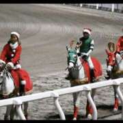 ヒメ日記 2025/12/24 21:15 投稿 里香 谷町人妻ゴールデン倶楽部