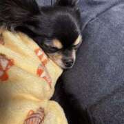 ヒメ日記 2026/01/02 00:25 投稿 里香 谷町人妻ゴールデン倶楽部