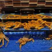 ヒメ日記 2026/02/08 21:35 投稿 里香 谷町人妻ゴールデン倶楽部