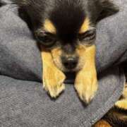 ヒメ日記 2026/02/24 00:00 投稿 里香 谷町人妻ゴールデン倶楽部