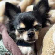 里香 ヤバない? 谷町人妻ゴールデン倶楽部