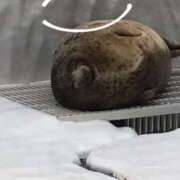 ヒメ日記 2025/12/28 20:13 投稿 のの 京都デリヘル倶楽部