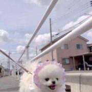 ヒメ日記 2026/01/31 19:12 投稿 本庄みおり(ほんじょうみおり) 五十路マダムエクスプレス厚木店(カサブランカグループ)