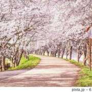 ヒメ日記 2026/03/13 18:36 投稿 本庄みおり(ほんじょうみおり) 五十路マダムエクスプレス厚木店(カサブランカグループ)