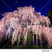 ヒメ日記 2026/04/03 20:44 投稿 本庄みおり(ほんじょうみおり) 五十路マダムエクスプレス厚木店(カサブランカグループ)