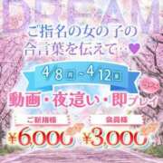 ヒメ日記 2024/04/07 21:09 投稿 ひな ウルトラドリーム