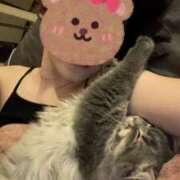 ヒメ日記 2025/11/09 04:30 投稿 しほ とある風俗店♡やりすぎさーくる新宿大久保店♡で色んな無料オプションしてみました