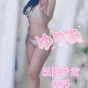 ヒメ日記 2025/04/15 16:49 投稿 ゆりあ 脱がされたい人妻 熊谷店