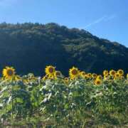ヒメ日記 2025/10/08 10:23 投稿 ゆりあ 脱がされたい人妻 熊谷店