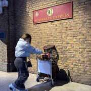 ヒメ日記 2025/11/16 08:41 投稿 りこ 久喜鷲宮ちゃんこ