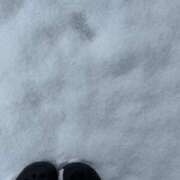 ヒメ日記 2026/02/09 10:01 投稿 りこ 久喜鷲宮ちゃんこ