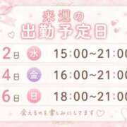 ヒメ日記 2026/08/28 14:01 投稿 りこ 久喜鷲宮ちゃんこ