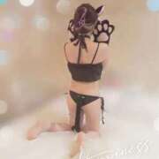 のん にゃん🐾 アニバーサリー