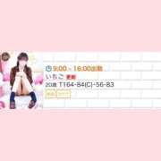 ヒメ日記 2025/02/03 08:40 投稿 いちご チューリップ姫路店