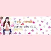 ヒメ日記 2025/02/11 08:50 投稿 いちご チューリップ姫路店