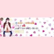 ヒメ日記 2025/02/14 08:50 投稿 いちご チューリップ姫路店