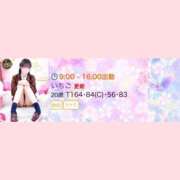 ヒメ日記 2025/03/25 08:43 投稿 いちご チューリップ姫路店