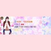 ヒメ日記 2025/03/28 08:51 投稿 いちご チューリップ姫路店