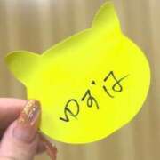 ヒメ日記 2024/05/06 15:36 投稿 ゆずは 子猫カフェ 小倉店
