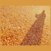 ヒメ日記 2025/12/30 21:11 投稿 ももの 贅沢なひと時