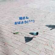 ヒメ日記 2025/01/12 10:26 投稿 もえ 尼妻（あまづま）