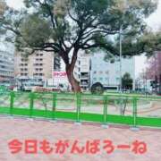 ヒメ日記 2025/01/23 09:33 投稿 もえ 尼妻（あまづま）