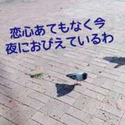 ヒメ日記 2025/03/01 16:15 投稿 もえ 尼妻（あまづま）