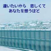 ヒメ日記 2025/03/06 09:24 投稿 もえ 尼妻（あまづま）