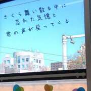 ヒメ日記 2025/03/28 09:41 投稿 もえ 尼妻（あまづま）
