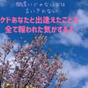 ヒメ日記 2025/04/08 09:31 投稿 もえ 尼妻（あまづま）