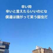 ヒメ日記 2025/04/11 09:26 投稿 もえ 尼妻（あまづま）