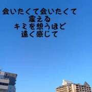 ヒメ日記 2025/06/12 09:32 投稿 もえ 尼妻（あまづま）