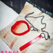 ヒメ日記 2025/07/05 12:45 投稿 もえ 尼妻（あまづま）