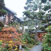 ヒメ日記 2026/04/08 16:52 投稿 もえ 尼妻（あまづま）