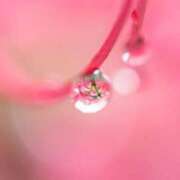 ヒメ日記 2026/03/09 18:44 投稿 桜　もえ エテルナ彦根